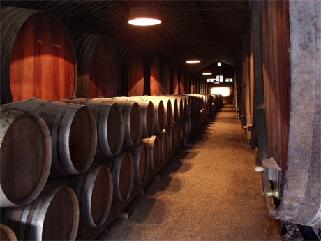 Adegas wine cellar Oporto photo